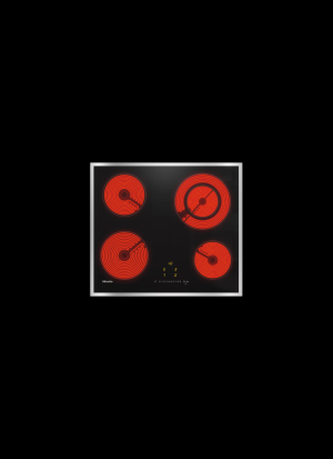 Electric Hobs
